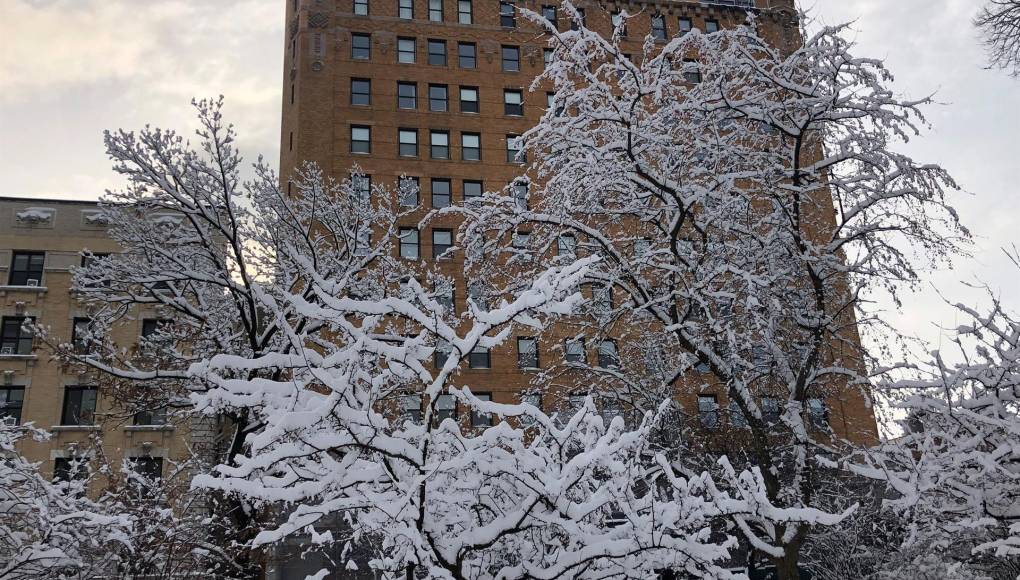 La ciudad de Nueva York amanece cubierta con la primera nieve del año