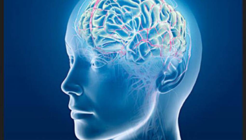 Dormir poco afecta al cerebro