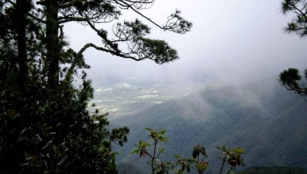 Unesco inscribe al área Cacique Lempira de Honduras como Reserva de Biosfera
