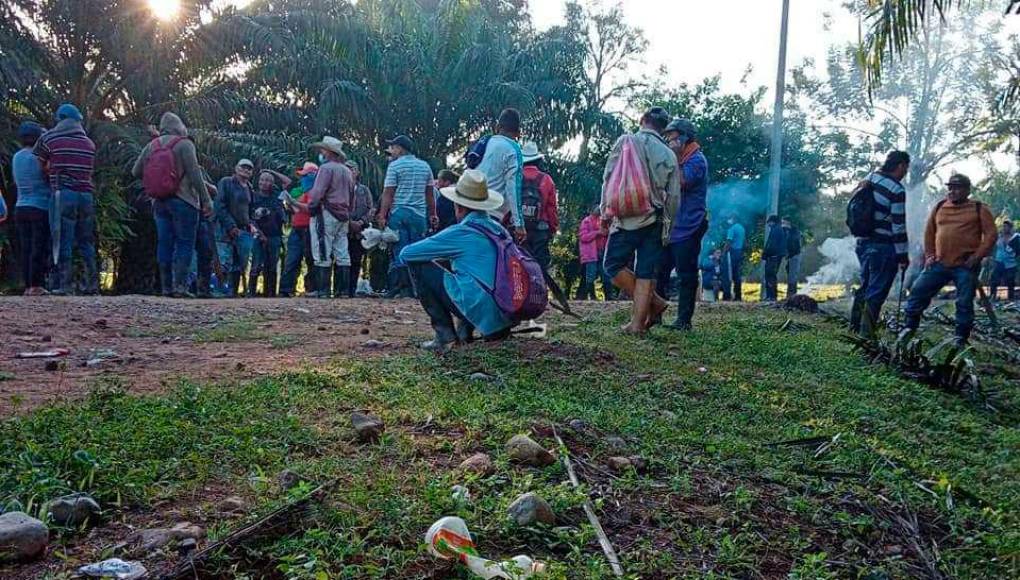 Productores denuncian que bandas asaltan fincas del Aguán y venden fruta
