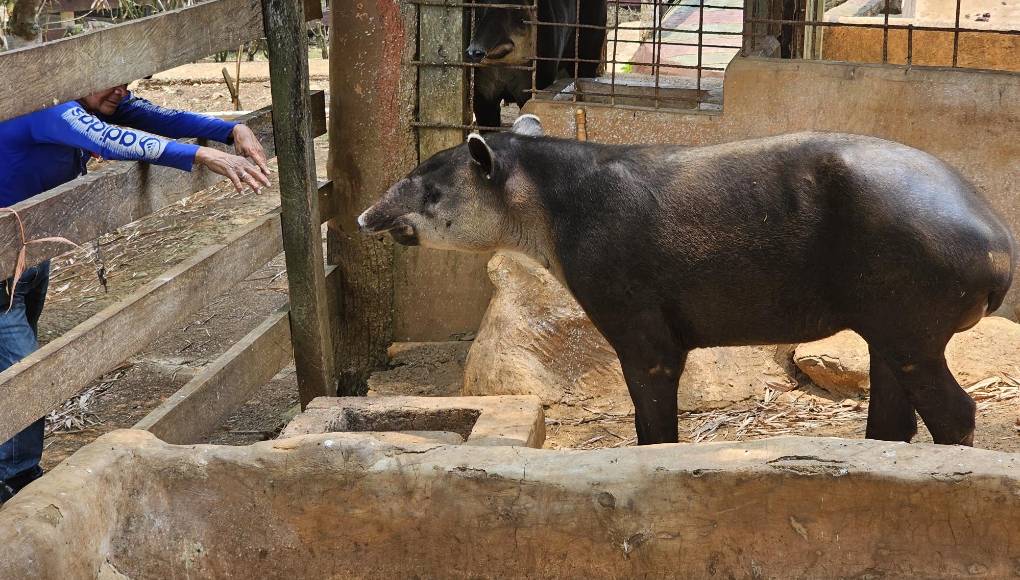 Los empleados dijeron que van a continuar con la toma hasta que les cancelen los dos meses que les deben.