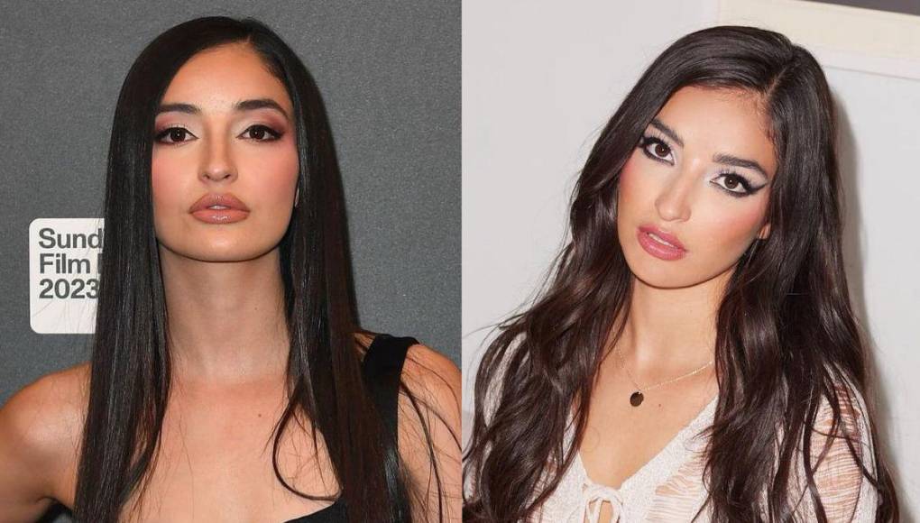 A mediados de marzo, la joven actriz de cine para adultos, Emily Willis, sufrió un paro cardíaco. 