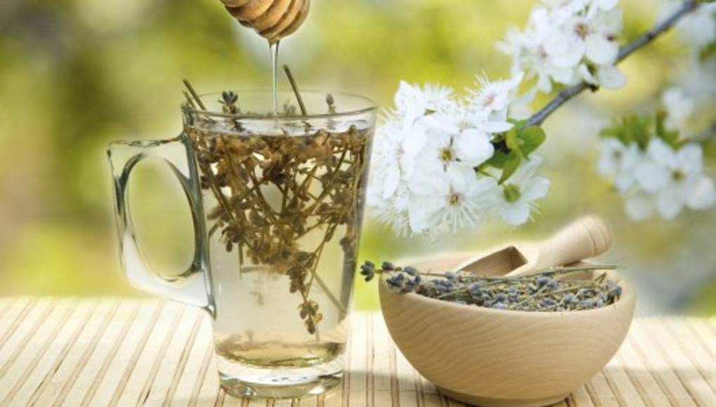 Diez infusiones para evitar males estomacales