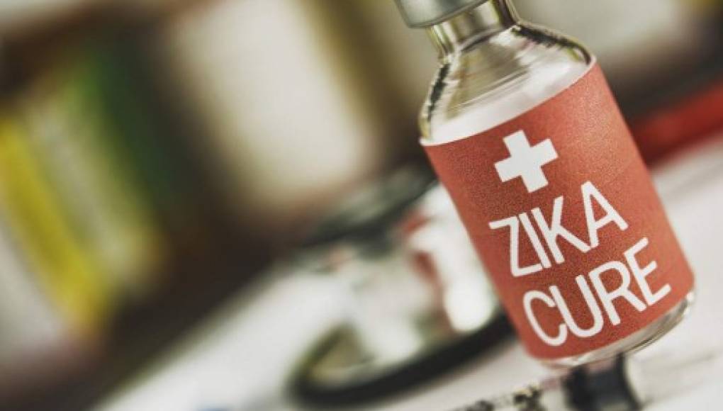 Unas vacunas experimentales podrían proteger al feto del Zika