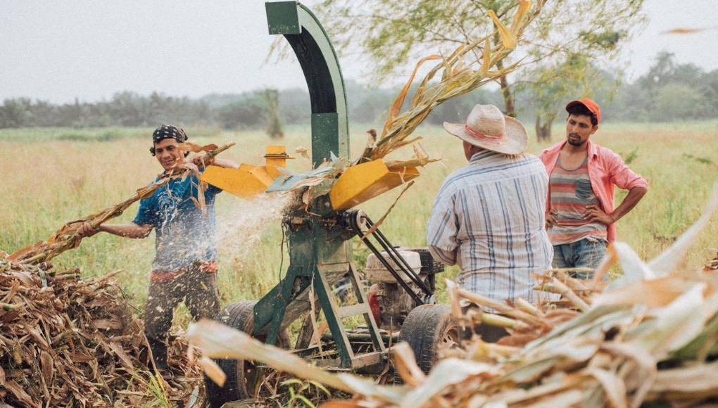 El hombre manifestó estar agradecido con la fundación por el desarrollo que ha llevado a su aldea, puesto que también los han apoyado con insumos para cultivar la tierra y están criando ganado para abrir una exportadora de carne en el futuro y generar más empleos.