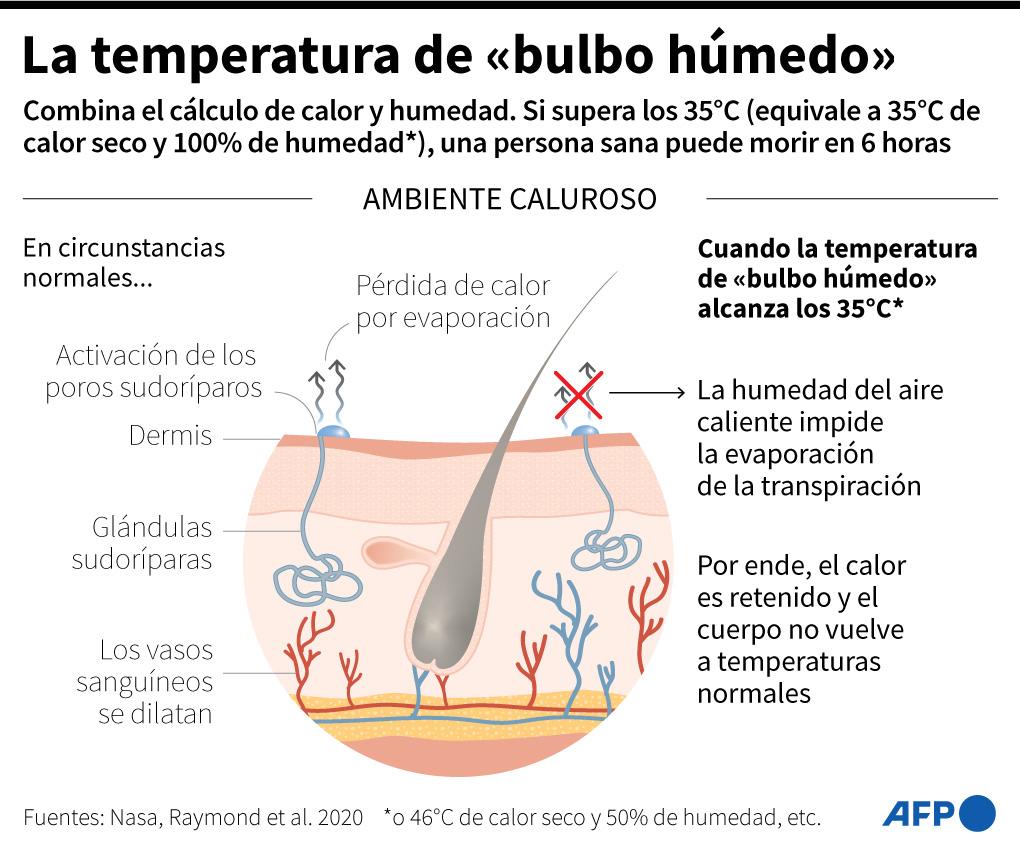 Ante la canícula, la importancia de saber cuánto calor puede soportar el ser humano
