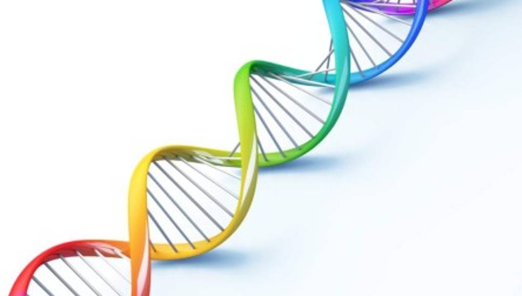 Identifican 15 nuevas mutaciones que aumentan el riesgo de cáncer de mama