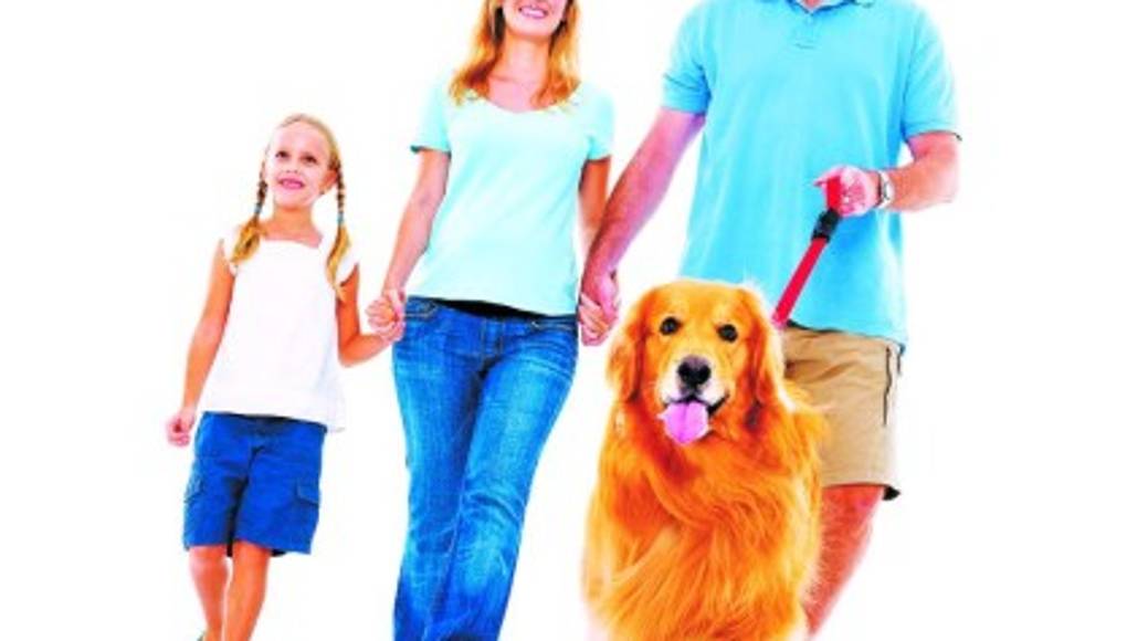 Beneficios de sacar a pasear la mascota