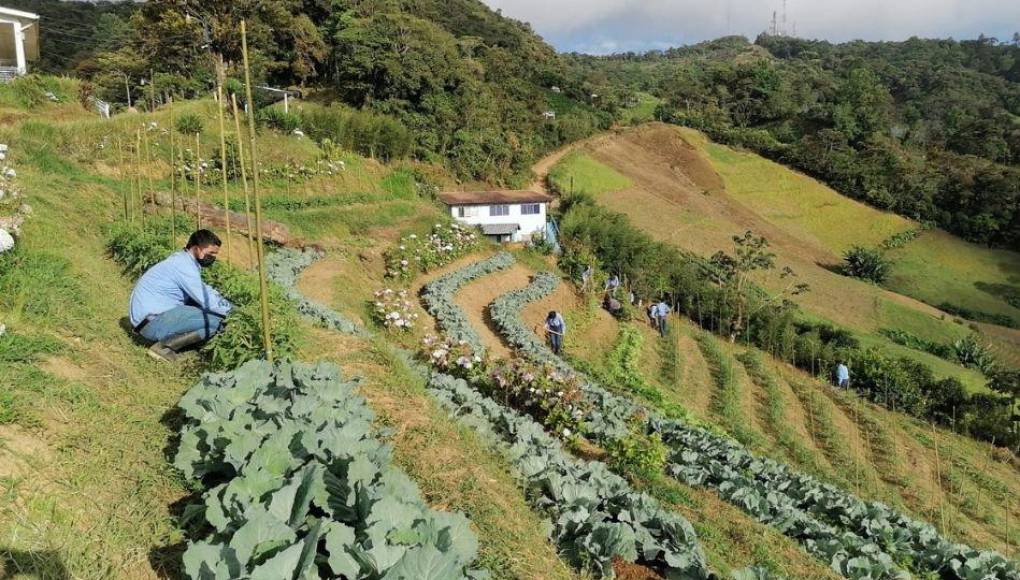 Escuela Agrícola Virgen de Suyapa realizará primer Congreso Laudato si’