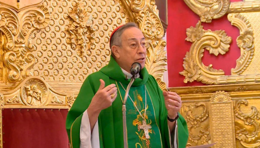 Cardenal lamenta la violencia en el mundo en el Domingo de Ramos