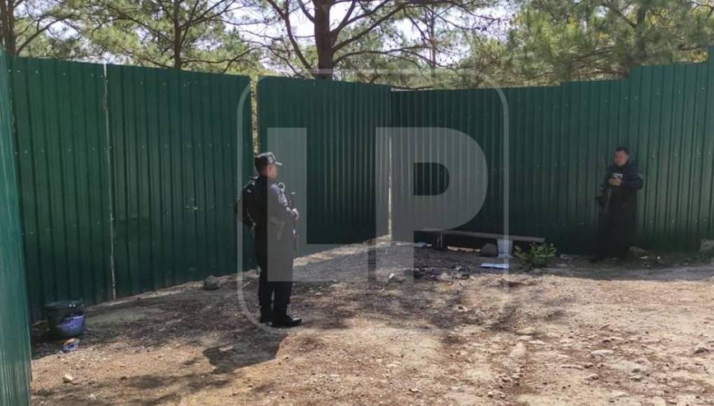 El aseguramiento e incautación de 33 inmuebles distribuidos en los departamentos de Francisco Morazán, Olancho y Lempira, ocho sociedades mercantiles, 16 vehículos y productos financieros.