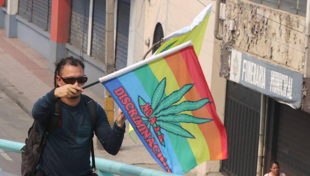 Actualmente, el consumo y comercialización de la marihuana es ilegal en el país. 