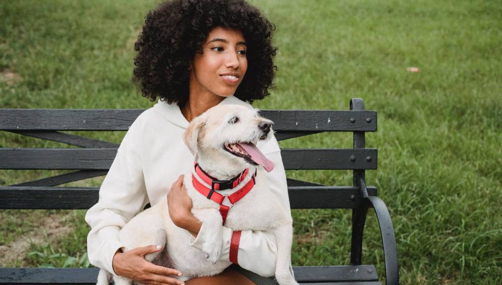Para mantener tu familia sana, cuida también a tu mascota