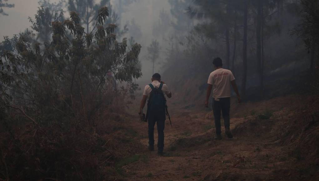 El siniestro, que comenzó alrededor del mediodía del 18 de marzo, dejó varias hectáreas de bosque dañadas y causó la muerte de numerosos animales. A las 3:00 de la mañana, las cuadrillas del ICF lograron controlar el fuego y asegurar el área.