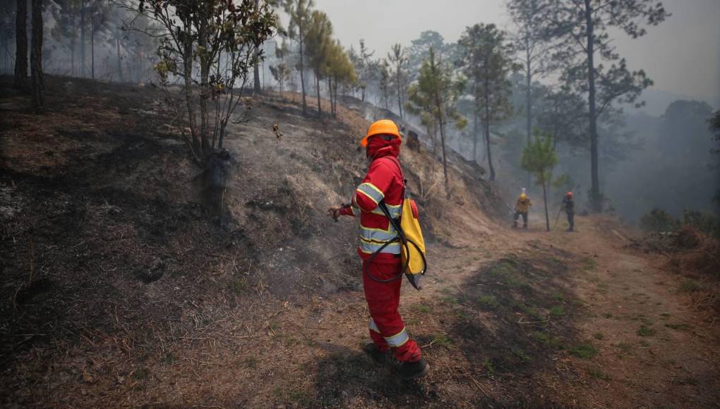 “Infierno” en La Tigra: imágenes del incendio que causó desastre