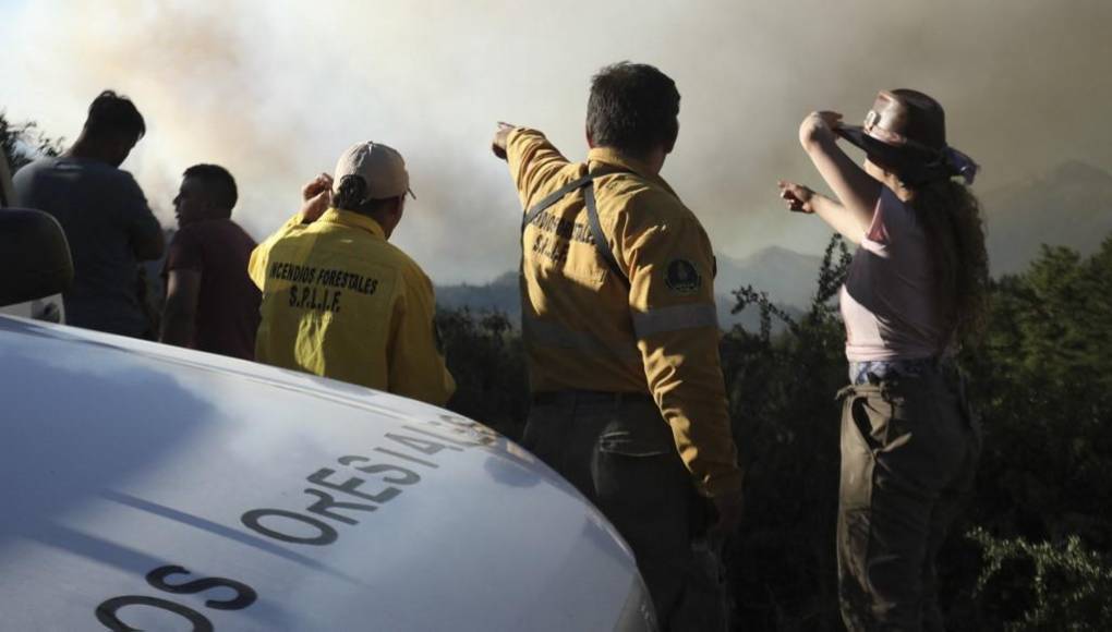 Voraces incendios arrasan bosques nativos en sur argentino