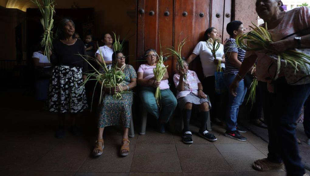 “Conocer a Jesús es la mejor forma de reconocernos a nosotros mismos. Más aún, no nos conocemos a nosotros, sin reconocer a Jesús, las palmas que llevamos en nuestras manos sean para glorificar a Dios, no a nosotros mismos, ni a ningún príncipe de este mundo. Las vamos a llevar a la casa, donde serán un recuerdo patente de la fe que profesamos”, subrayó Nácher.