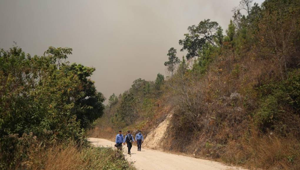 “Infierno” en La Tigra: imágenes del incendio que causó desastre