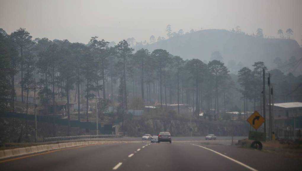 “Hoy es el día más crítico (por los altos niveles de contaminación) que han marcado las estaciones meteorológicas”, dijo a periodistas la directora de la Unidad Municipal de Gestión Integral de Riesgo de la Alcaldía de Tegucigalpa, Ingrid Flores.