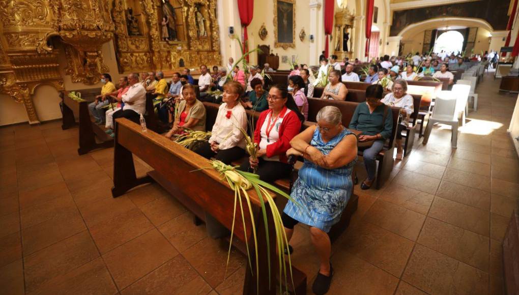“Pedimos a Dios que cese la violencia, que terminen todas las guerras, pedimos por las personas que sufren por causa de la violencia, algunas personas, pues, muy conocidas, otras olvidadas por todos, pedimos el fin de la violencia en el mundo”, subrayó Nácher en la homilía del ‘Domingo de ramos’, en el atrio de la catedral de Tegucigalpa, ante miles de católicos.