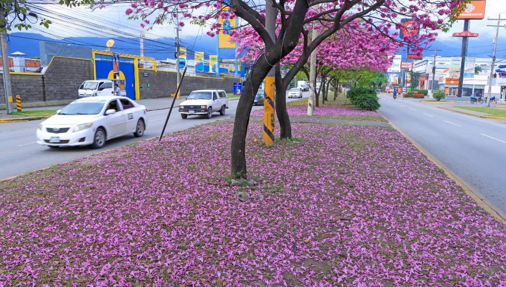 Y también indica el inicio del verano en Honduras. 
