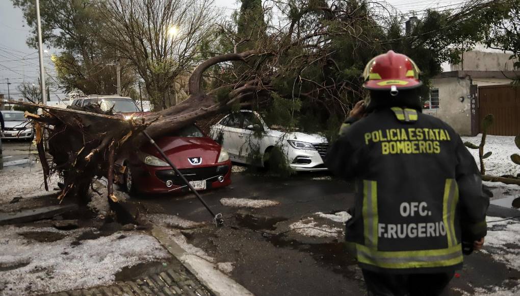Según las autoridades de Protección Civil, las ráfagas de vientos, entre 15 y 20 kilómetros, derribaron árboles y anuncios espectaculares (de gran formato). 