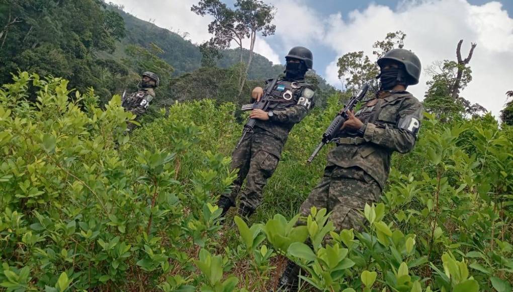 Por el momento no se ha detenido a ninguna persona, pero las fuerzas de seguridad han iniciado una investigación para saber a quiénes pertenece el terreno y el laboratorio para procesar droga.