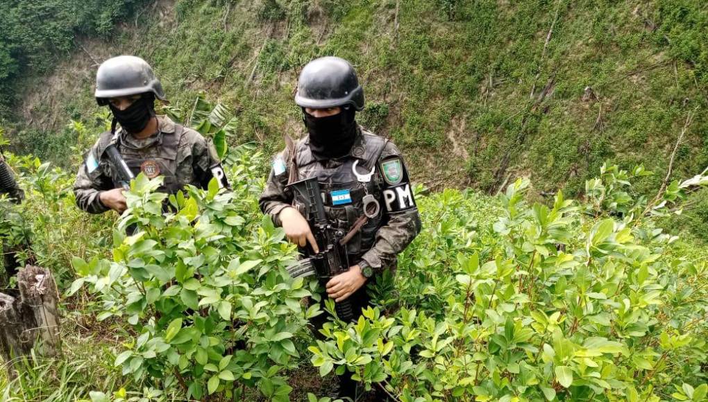 Por su ubicación geográfica, Honduras es utilizado por grupos de traficantes de drogas suramericanos que envían cargamentos de cocaína a Estados Unidos.