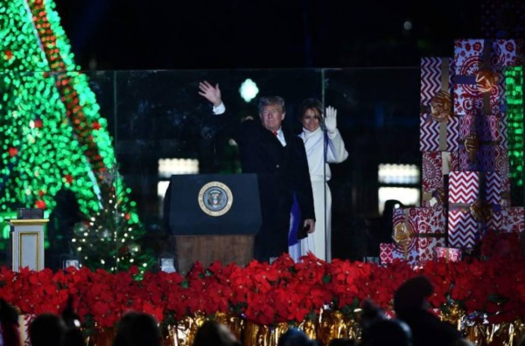 Alrededor del gran Árbol Nacional de Navidad se instalaron, como es habitual, 56 árboles de tamaño menor cuyos adornos diseñaron escolares dedicados a cada uno de los 50 estados de la Unión y a los territorios, entre ellos Puerto Rico.