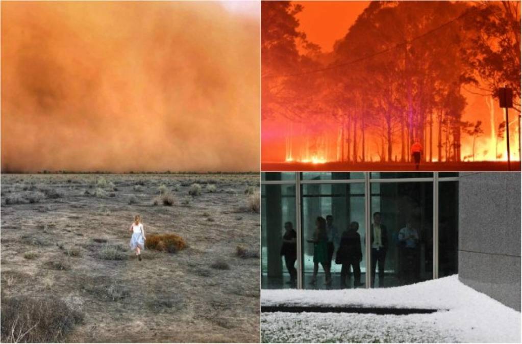 Los apocalípticos eventos climáticos que han azotado a Australia en las últimas semanas obstaculizan los esfuerzos de los bomberos para controlar los incendios que se han cobrado la vida de al menos 29 personas y arrasado grandes áreas del país.
