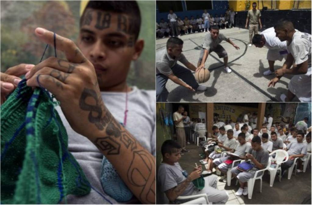 Arrepentidos de crímenes por los que purgan largas condenas, exmiembros de las pandillas Barrio 18 y Mara Salvatrucha (MS-13) buscan rehabilitarse en una prisión en el este de El Salvador, donde se capacitan en diversos oficios para salir de la vida delictiva.