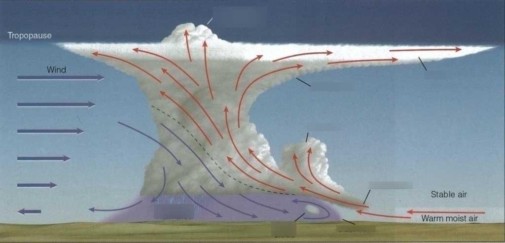 Esquema de las zonas de vientos ascendentes y vientos descendentes en una nube cumulonimbos en su etapa madura
