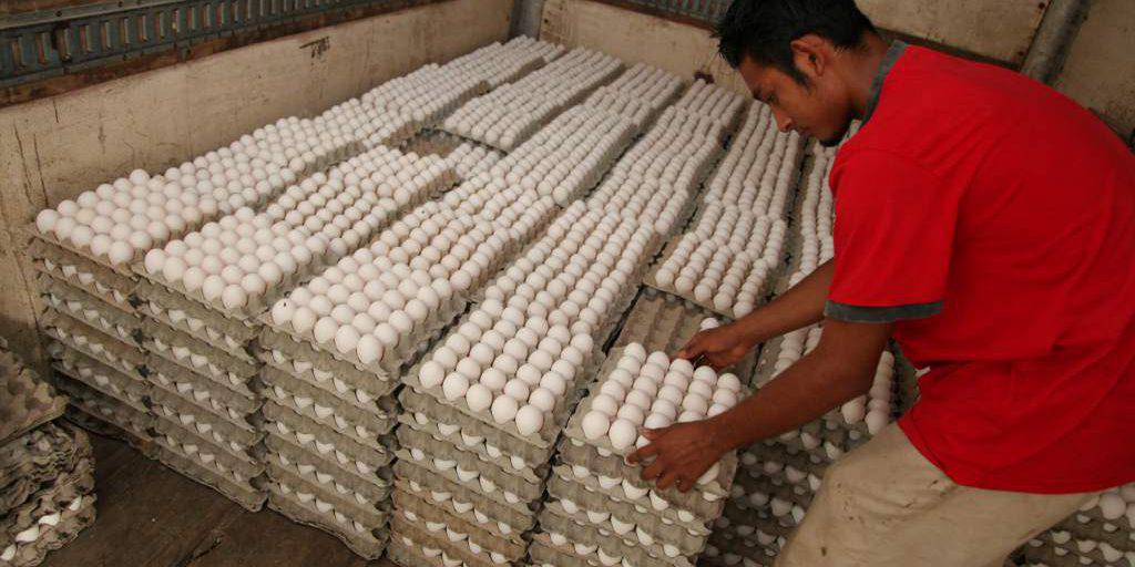 Cartón de huevo costará 130 lempiras hasta el 31 de marzo