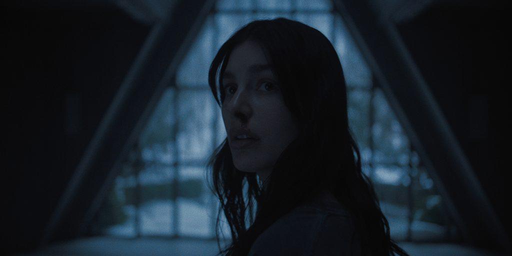 De Stranger Things al terror íntimo: la nueva serie de los Duffer