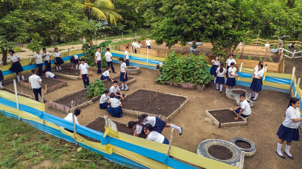 Huertos escolares, un programa que debe replicarse en Honduras
