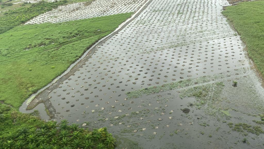 Desde el aire, Copeco evalúa los daños por lluvias