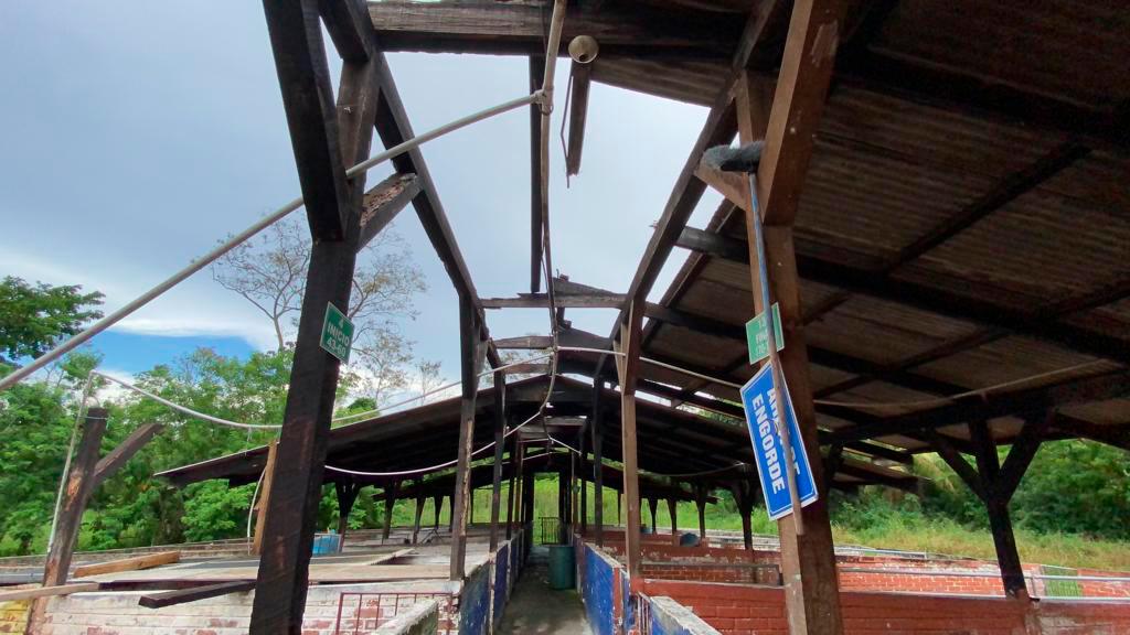 L1.6 millones ha gastado en viáticos la comisión que dirige el Curla