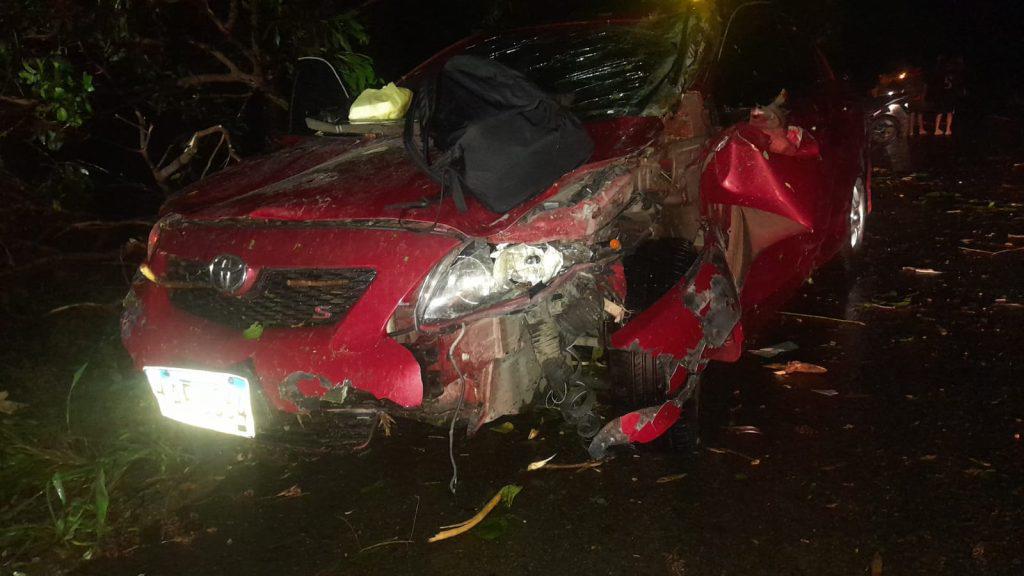 Árbol caído destroza carro de una joven en Atlántida