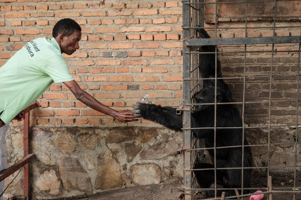 Israel confirma primer caso de viruela del mono