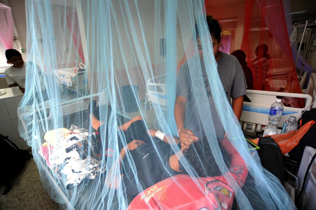 Aumentan casos de dengue en Honduras