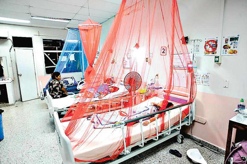 Prevén 100,000 casos de dengue