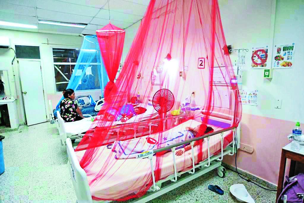 Médicos exhortan a Salud tomar medidas ante alta mortalidad por dengue