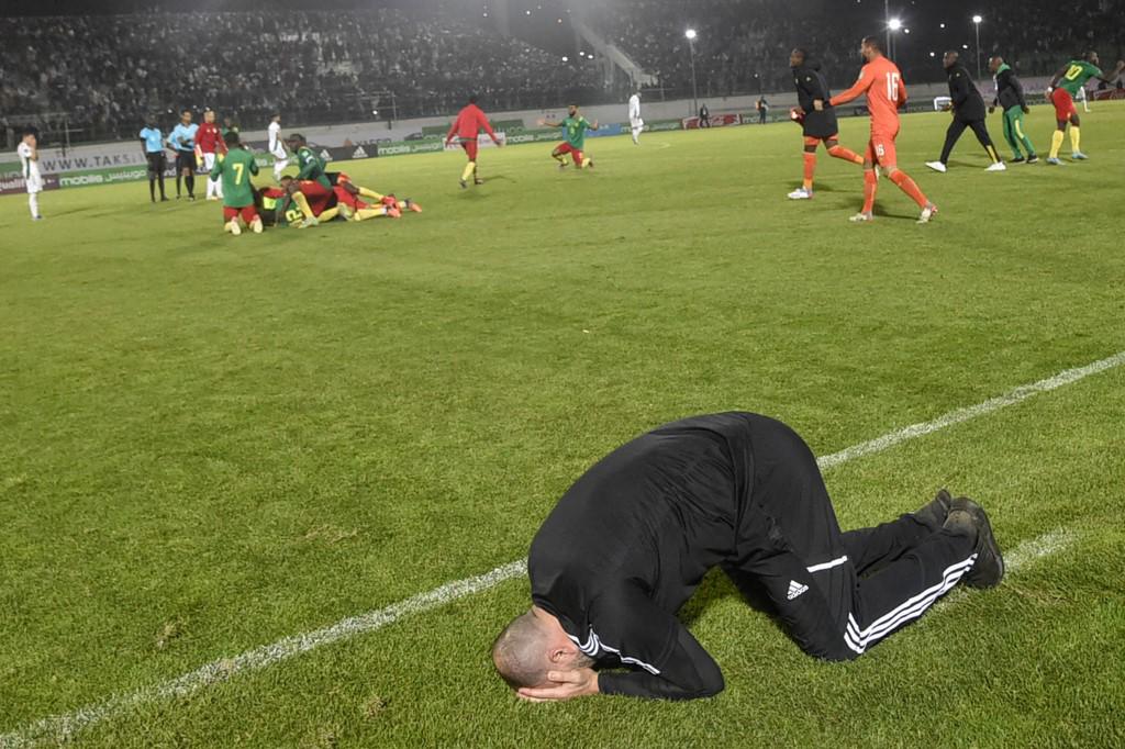 Djamel Belmadi, entrenador de Argelia, rompió en llanto luego de que quedaran fuera del Mundial de Qatar 2022 tras caer ante Camerún.