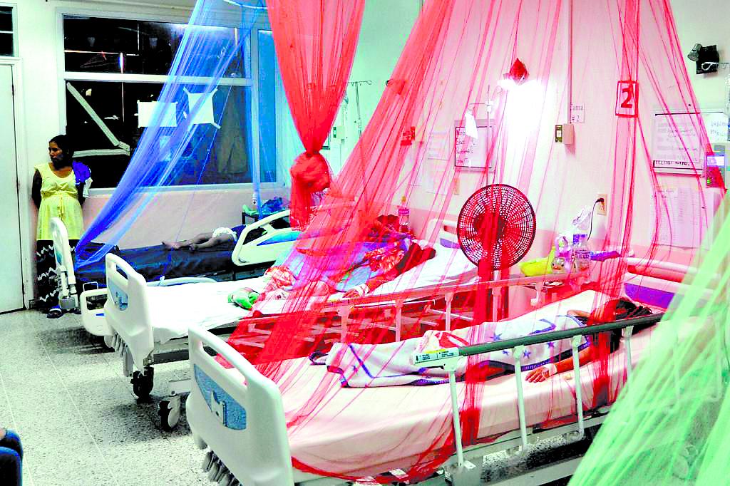 Salud no ve necesidad de emergencia por dengue