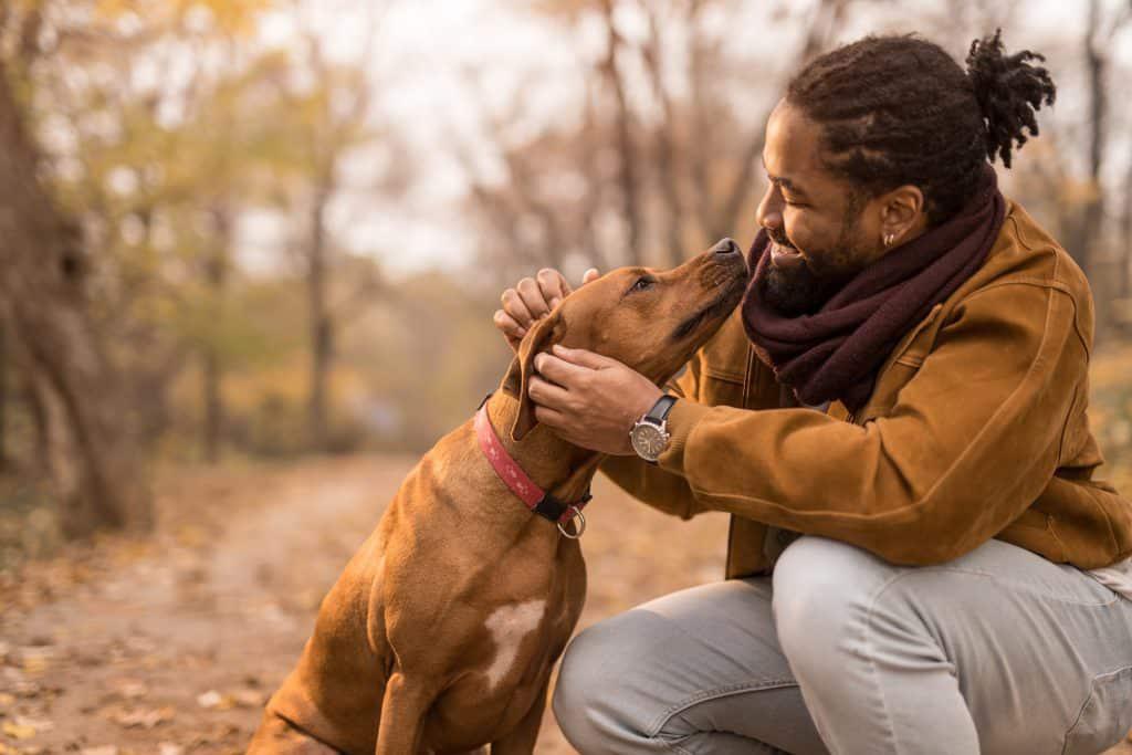 ¿Pueden los perros detectar enfermedades?, su comportamiento podría revelarlo