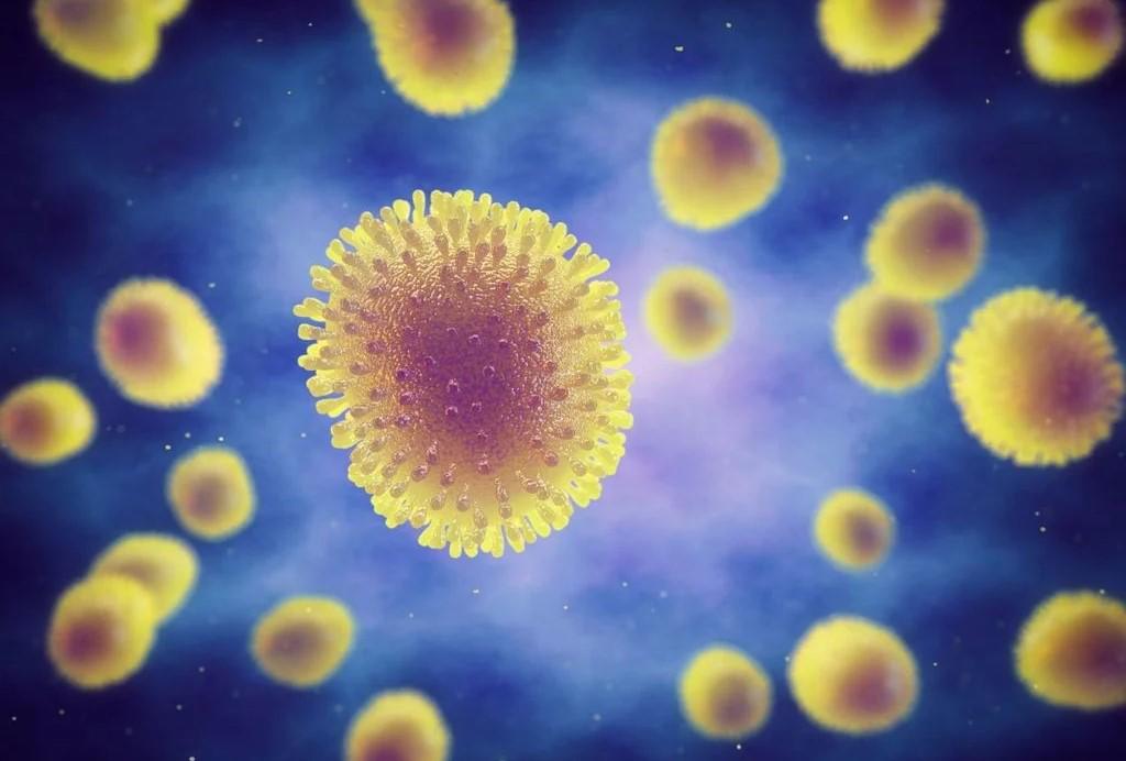 Alerta en Estados Unidos por cuarto caso de gripe aviar en humanos