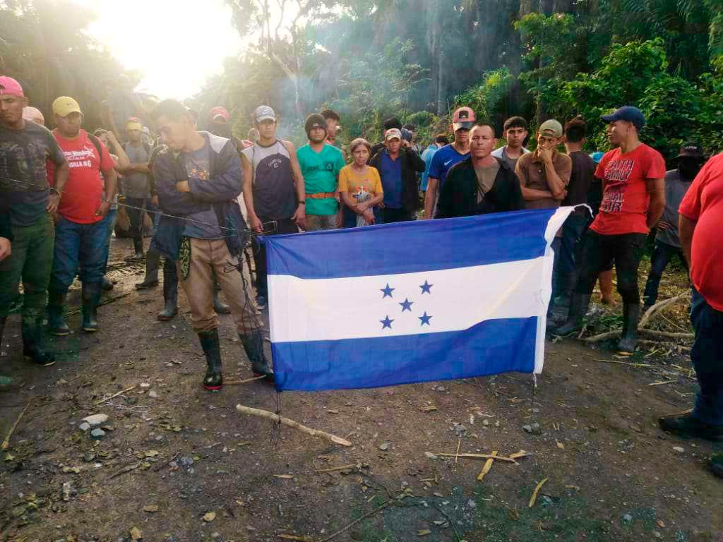 Ordenan desalojo de fincas de palma africana en Colón