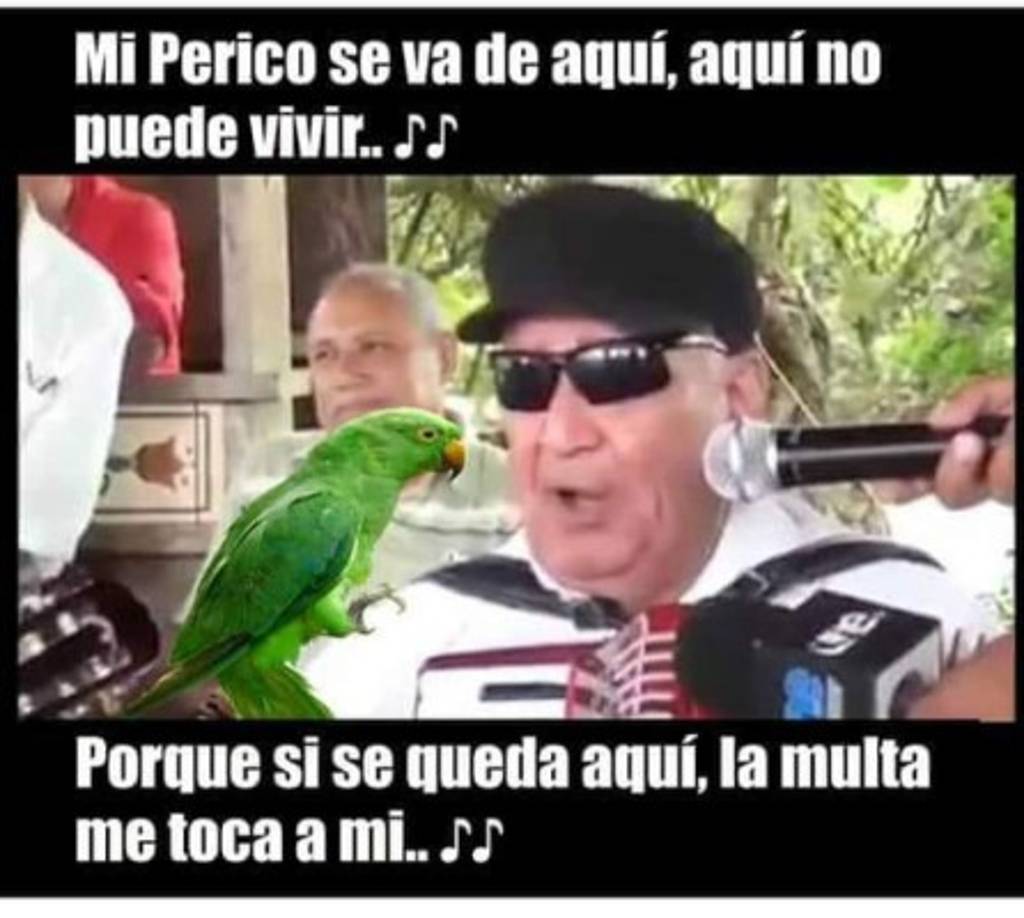 Hasta con canciones hicieron memes.