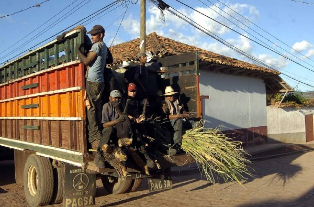 Trabajdores listos para la zafra.