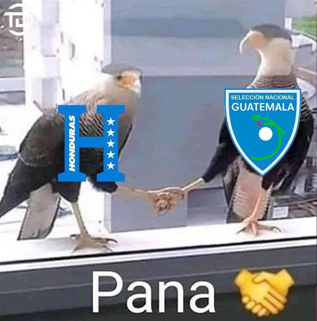 Burlas a Panamá: los divertidos memes tras pase a semis de Guatemala